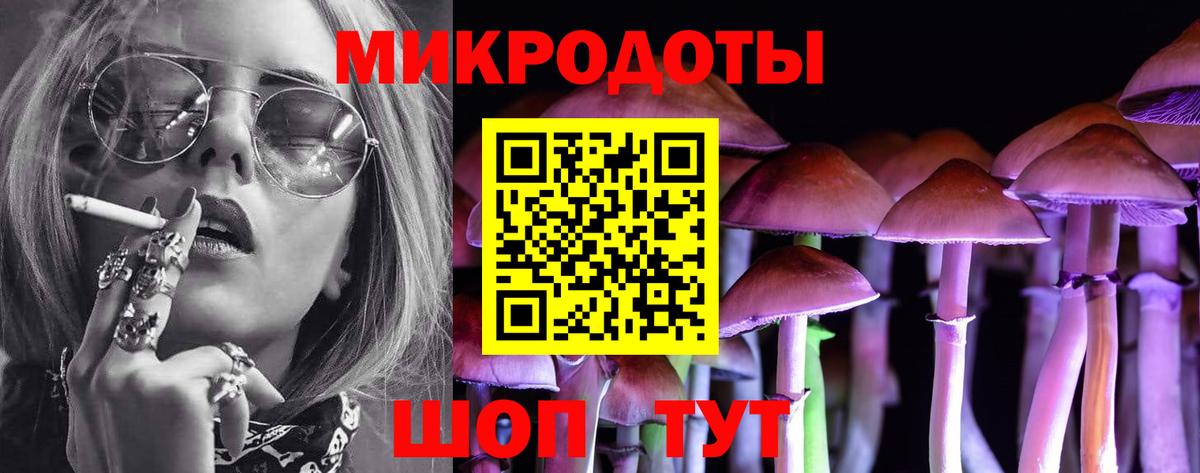 Псилоцибиновые грибы Psilocybe  Вход с VPN  Павлово 